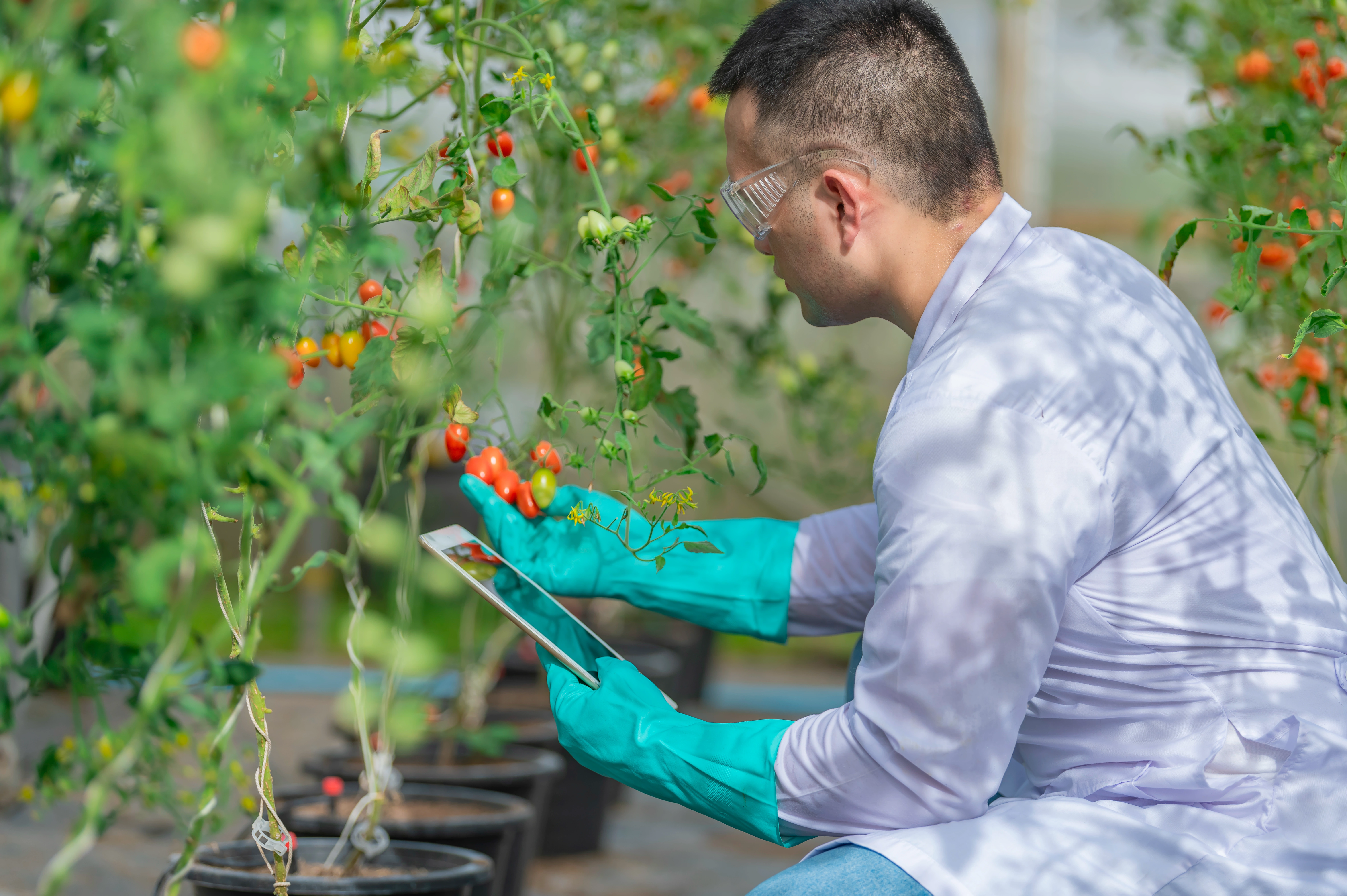 AI Food Safety Innovations: Farm to Fork Without URL Sprawl
